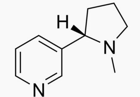 化学成分分析